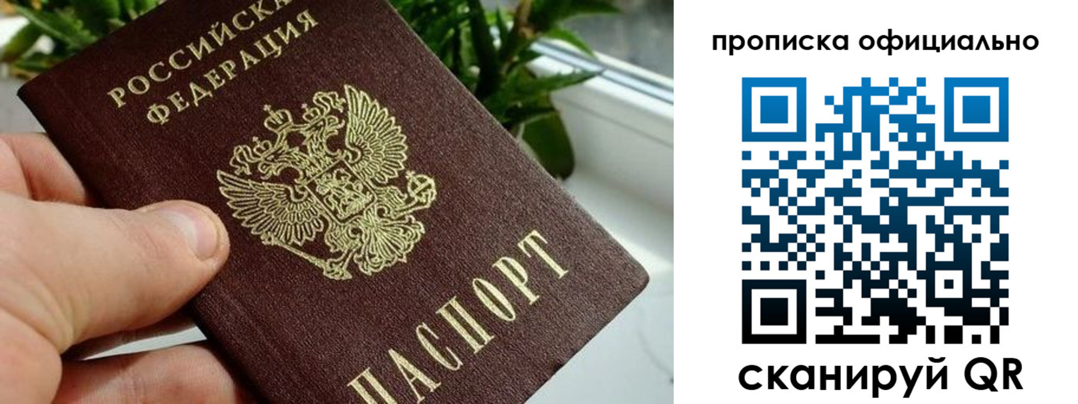прописка поиск в Клине